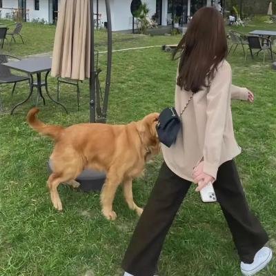 激情恋人
